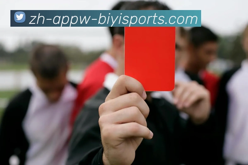 B体育APP 封面图